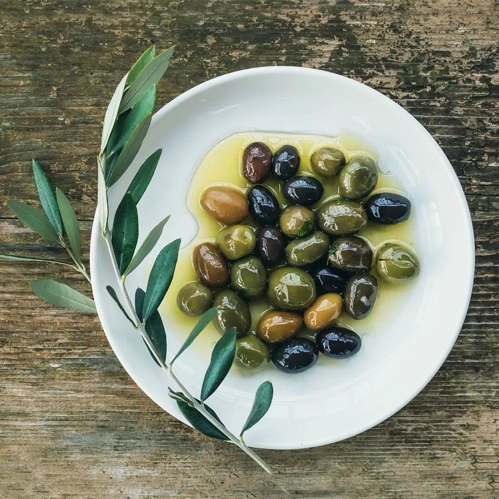 Mission Olive Tree - Ornamental Indoor and Outdoor Live Plant 1