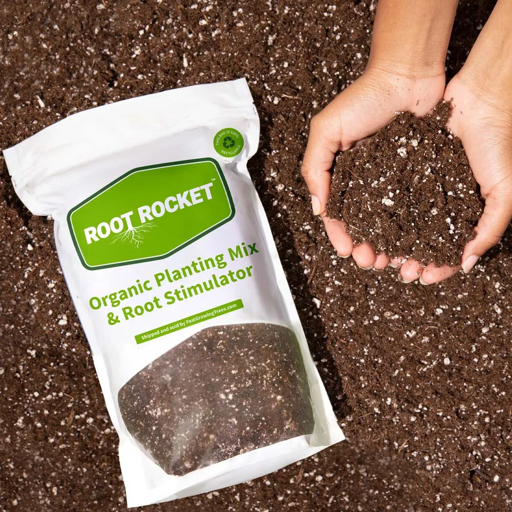 Organic Planting Mix for Indoor and Outdoor Container Gardening