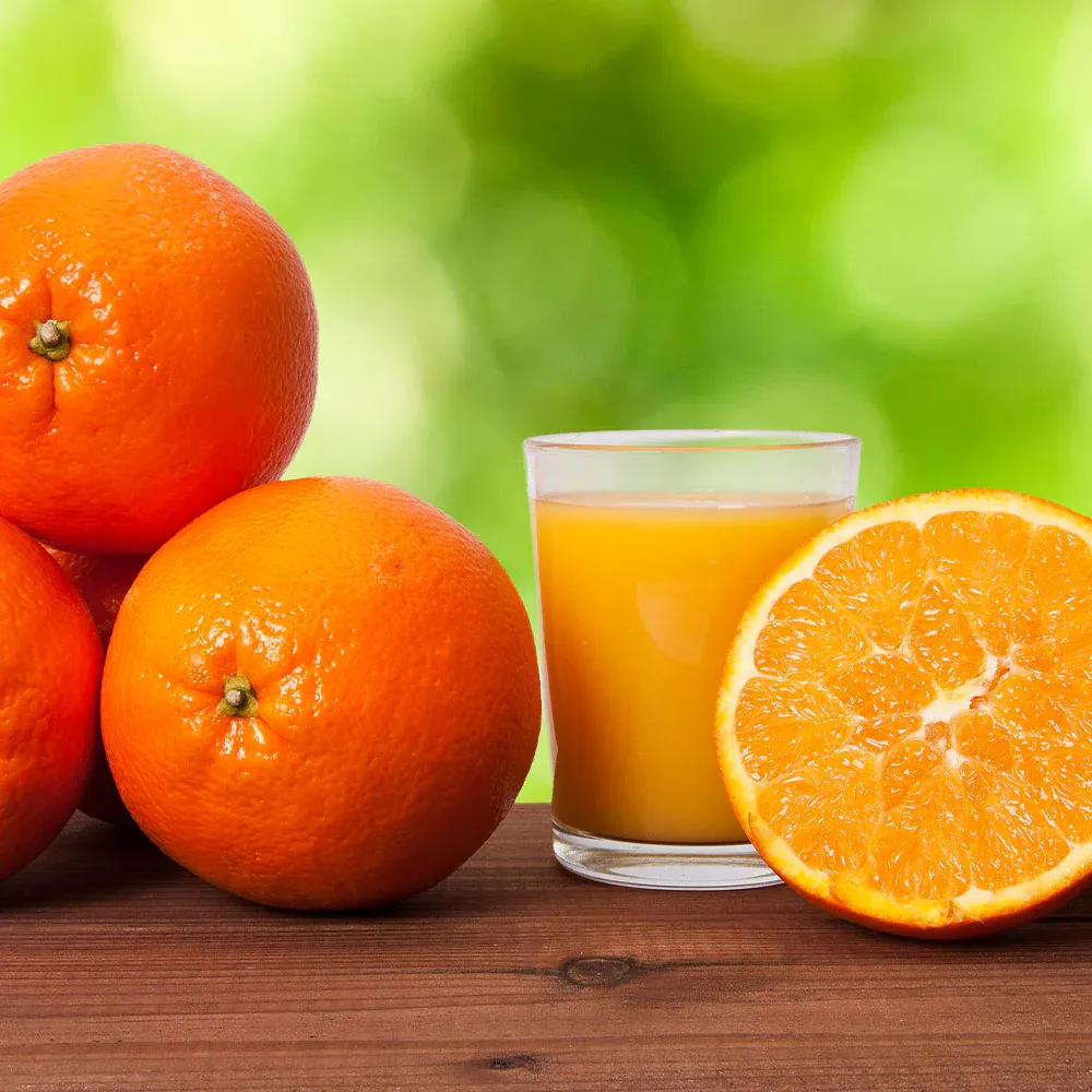 Midknight Valencia Orange Tree - Seedless Citrus Fruit Plant 3