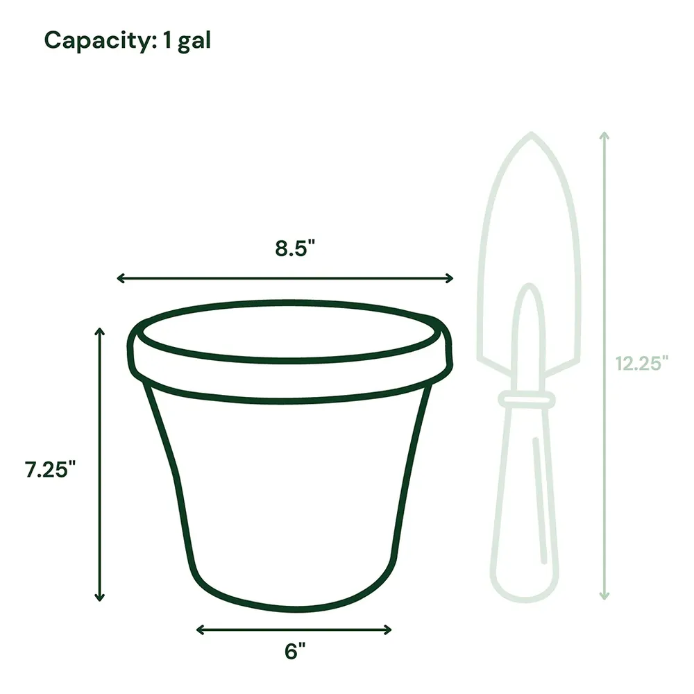 Bloem Terra Planter in Black - Durable Indoor and Outdoor Garden Pot 5