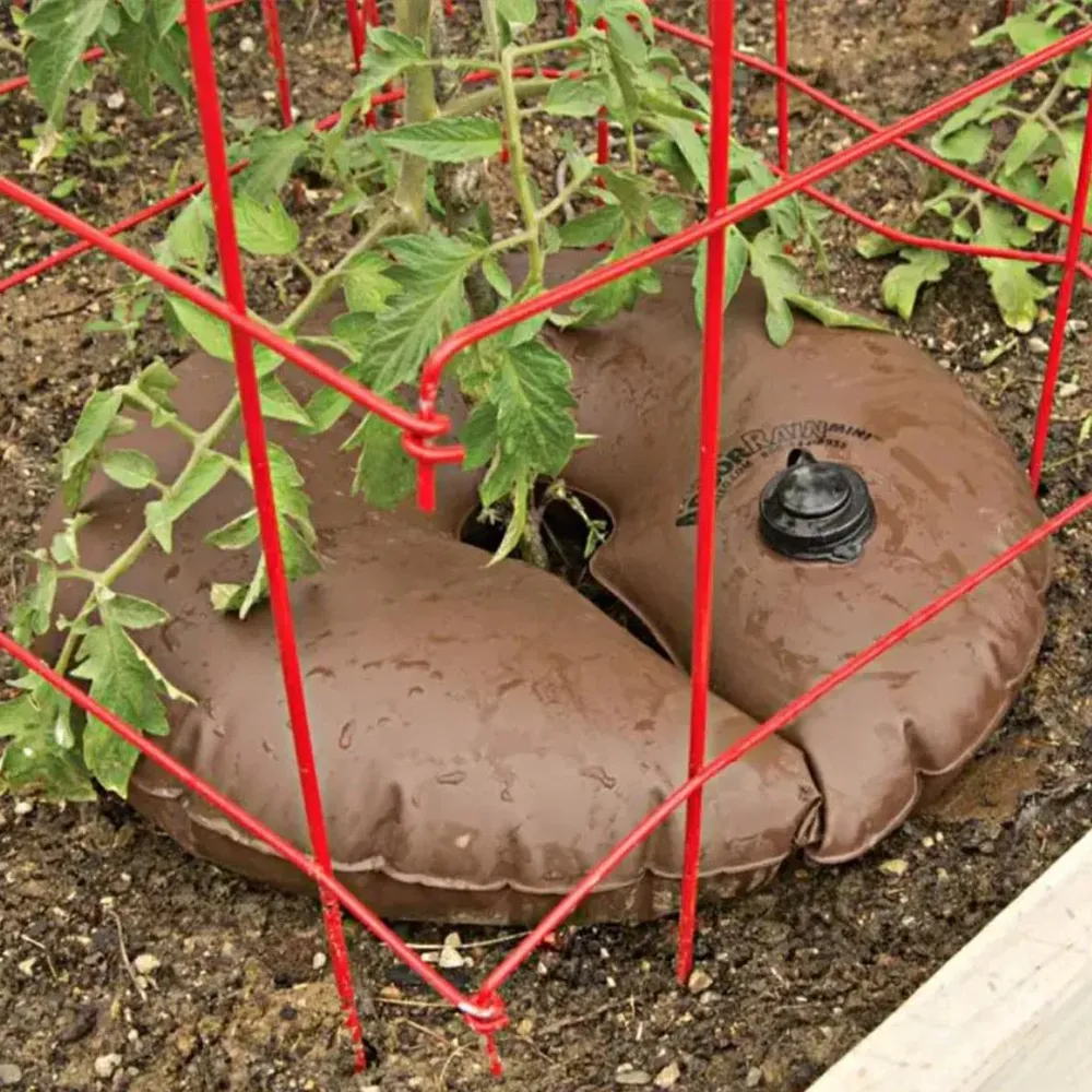 ArborRain™ Slow Release Watering Ring for Deep Root Tree Irrigation 2