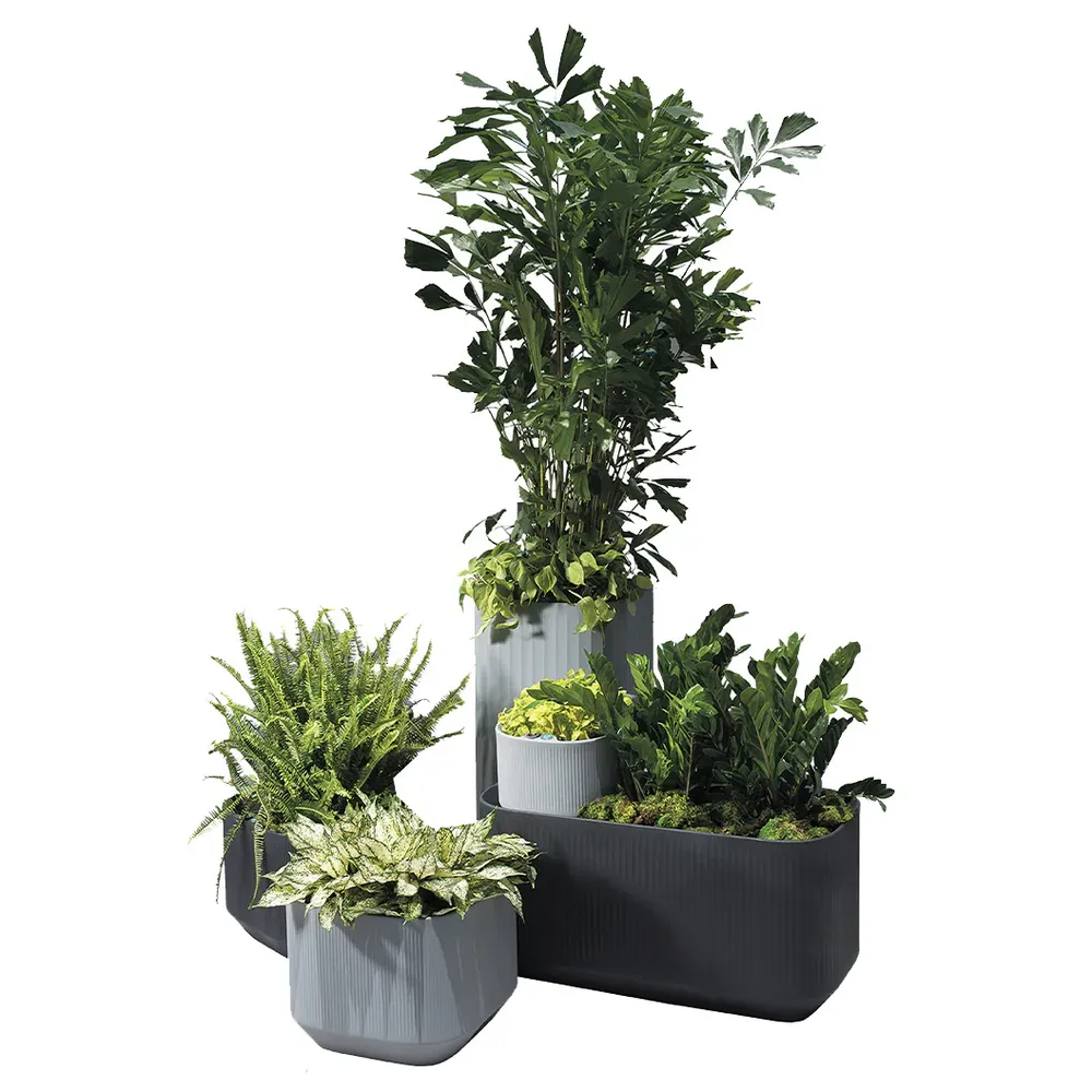 Modern Self-Watering Mod Planter for Indoor and Outdoor Use 7