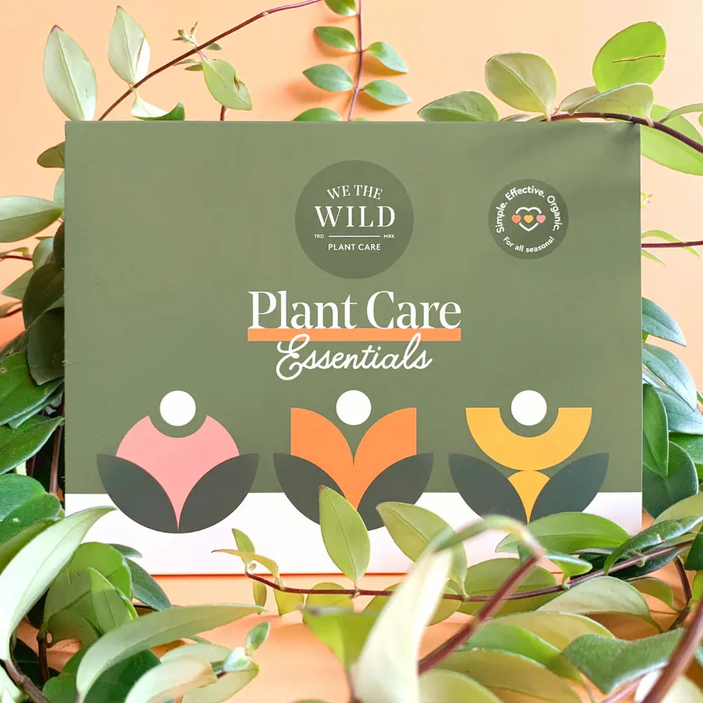 Essential Plant Care Kit for Indoor Houseplants 1