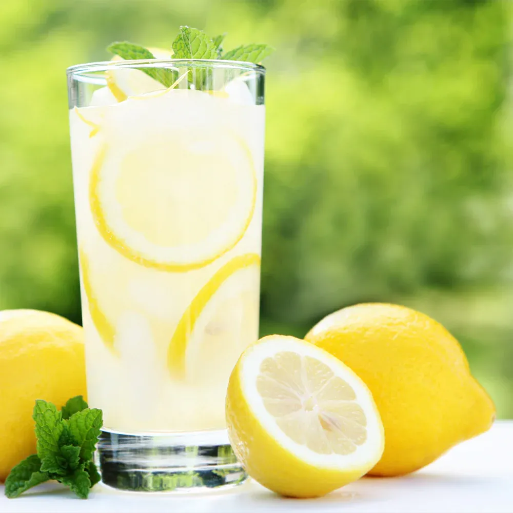 Artificial Lemon Tree for Indoor Home and Office Decoration 1