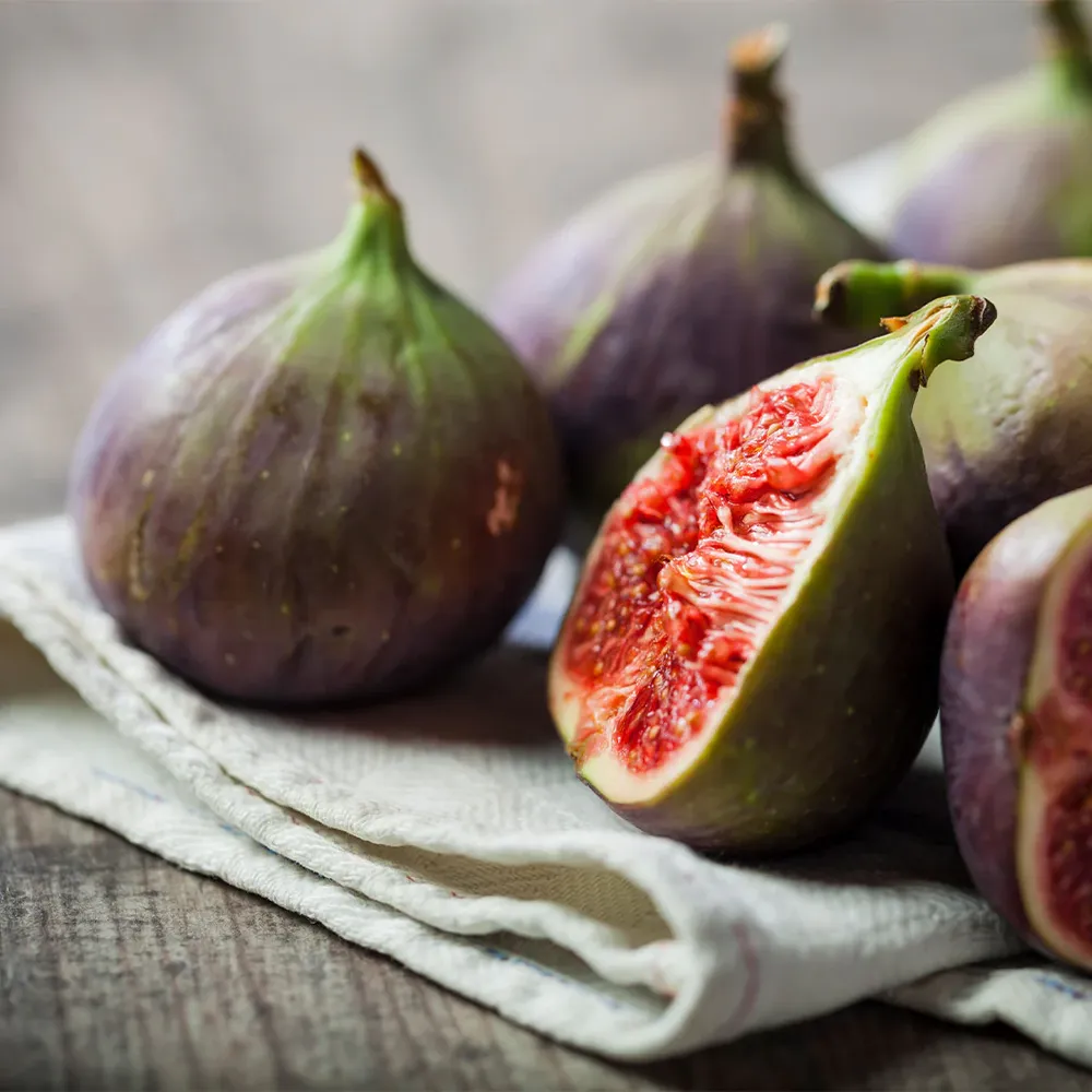 Violette de Bordeaux Fig Tree - USDA Organic Heirloom Fruit Plant 1