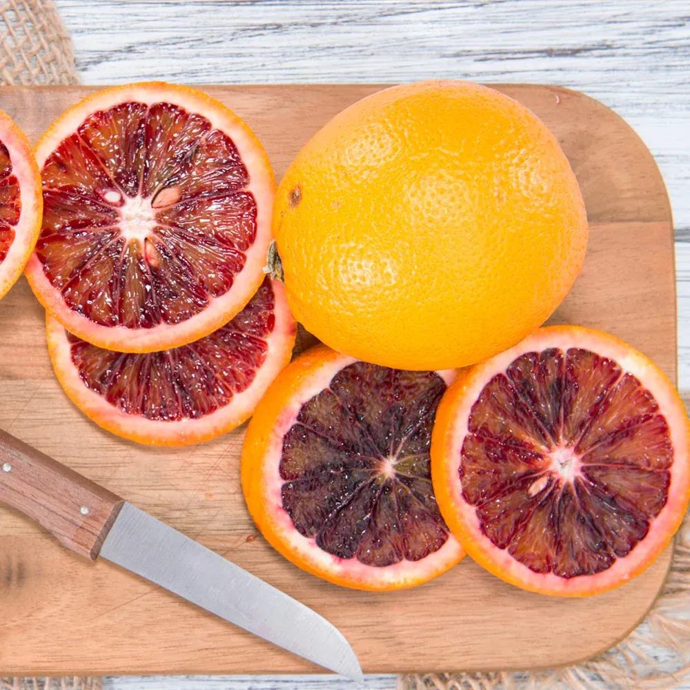 Sanguinelli Semi-Dwarf Blood Orange Tree - Compact Citrus for Home Gardens 3