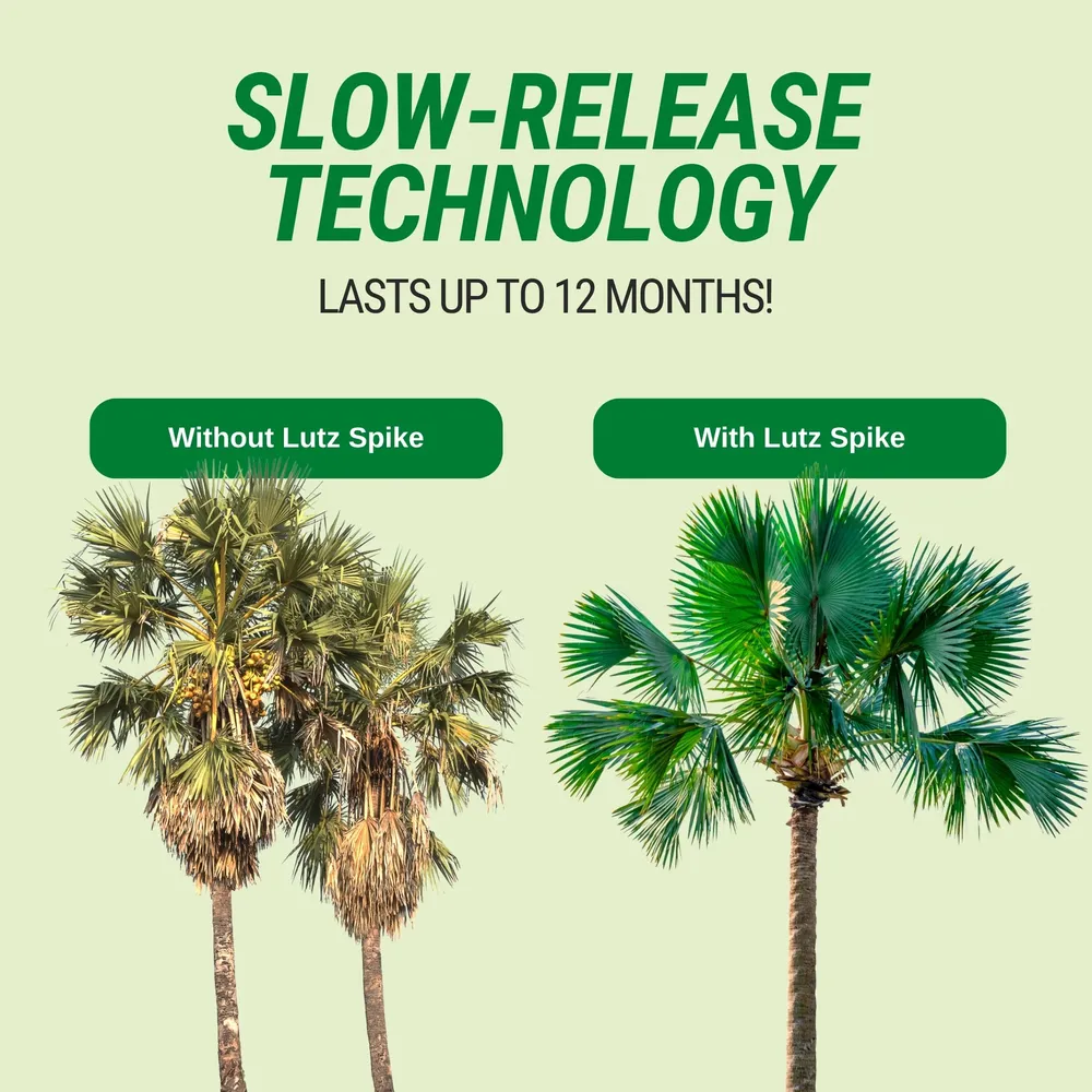 Lutz Palm Tree Fertilizer Spikes - Slow Release Nutrient Formula 4