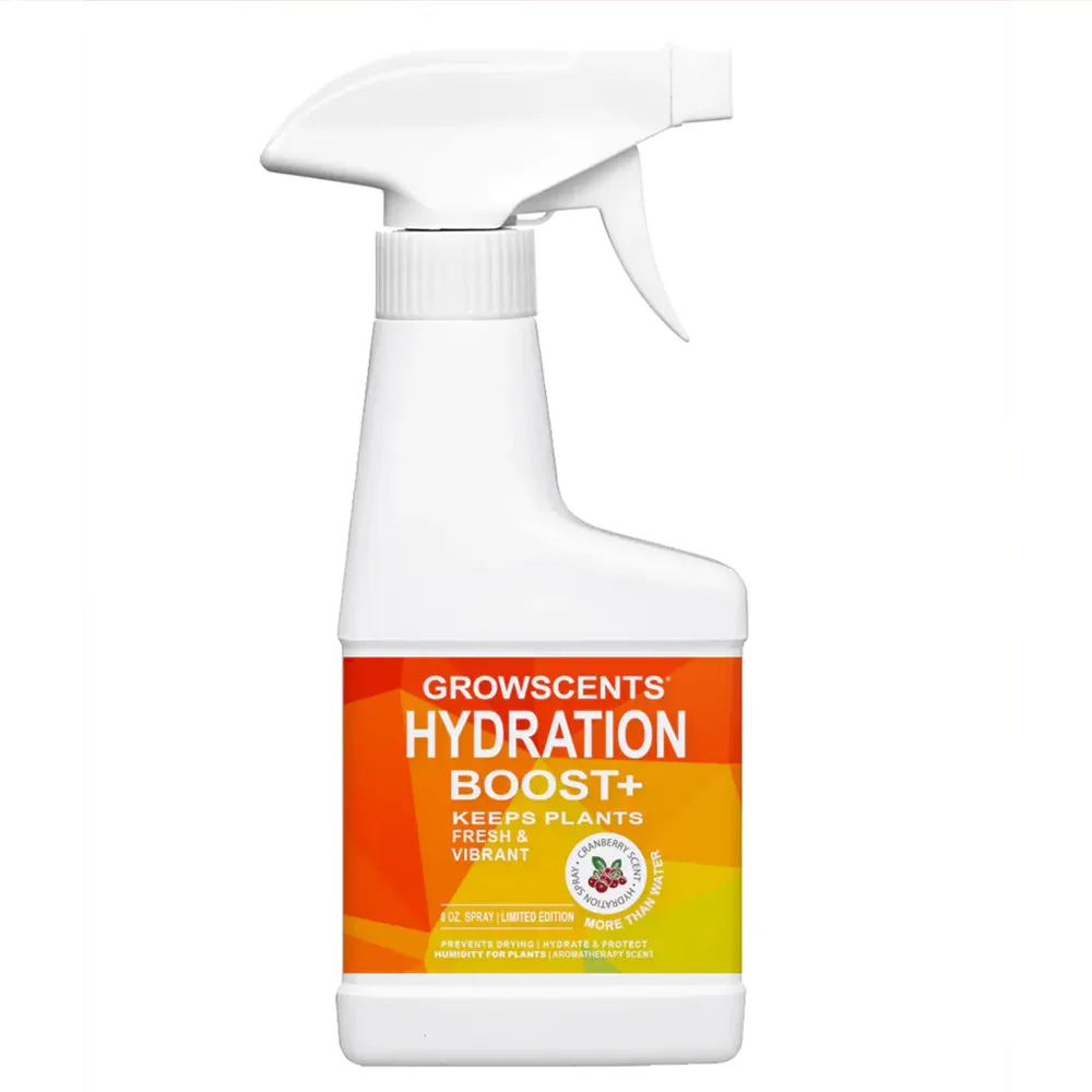 Hydration Boost + Electrolyte Supplement Powder for Daily Hydration Support 2