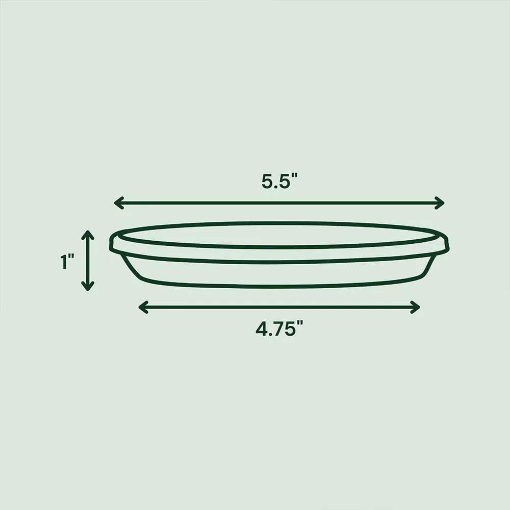 Terra Cotta Plant Saucer - Durable Drainage Tray for Indoor and Outdoor Pots 6