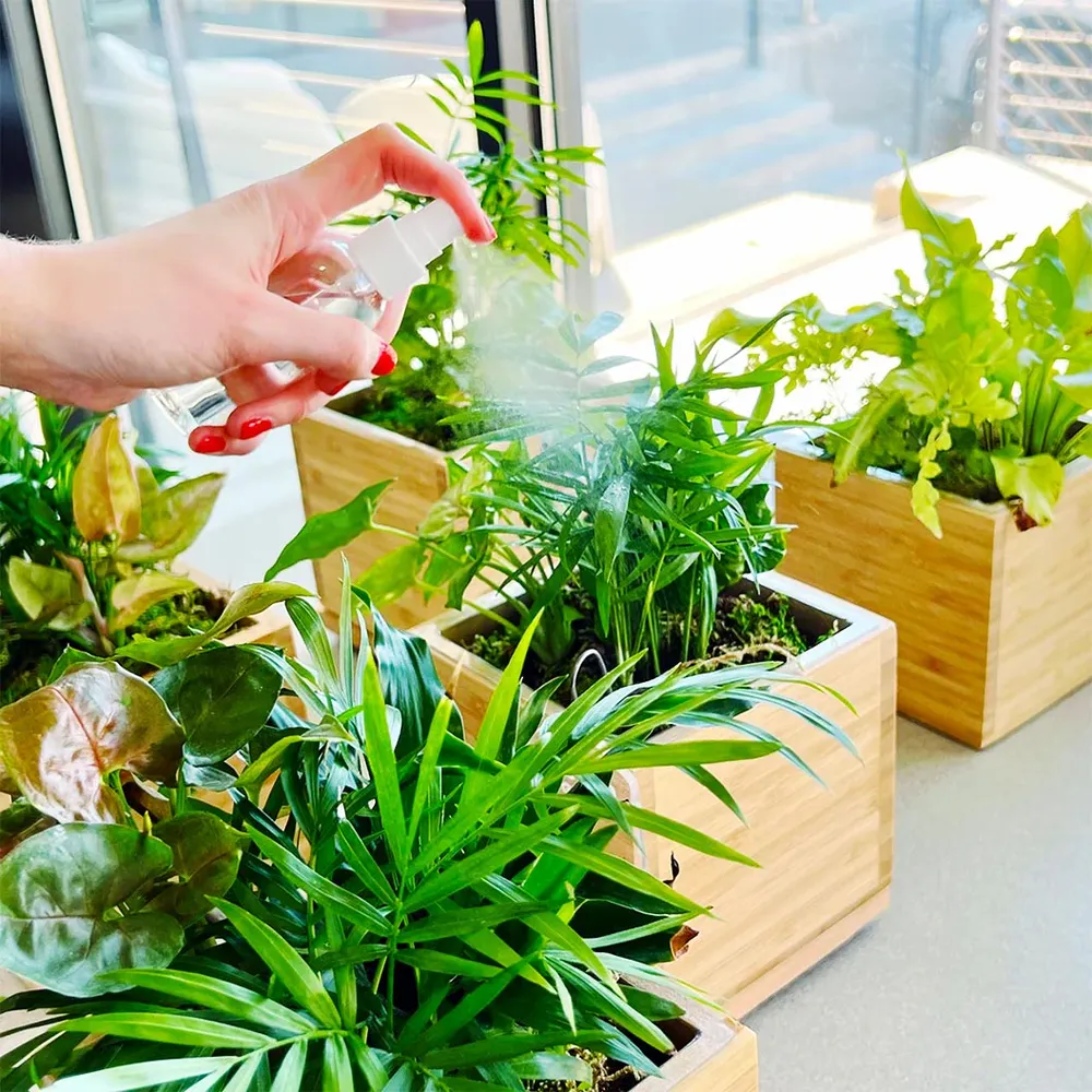 Tropical Desktop Garden Kit in Sustainable Bamboo Planter 1