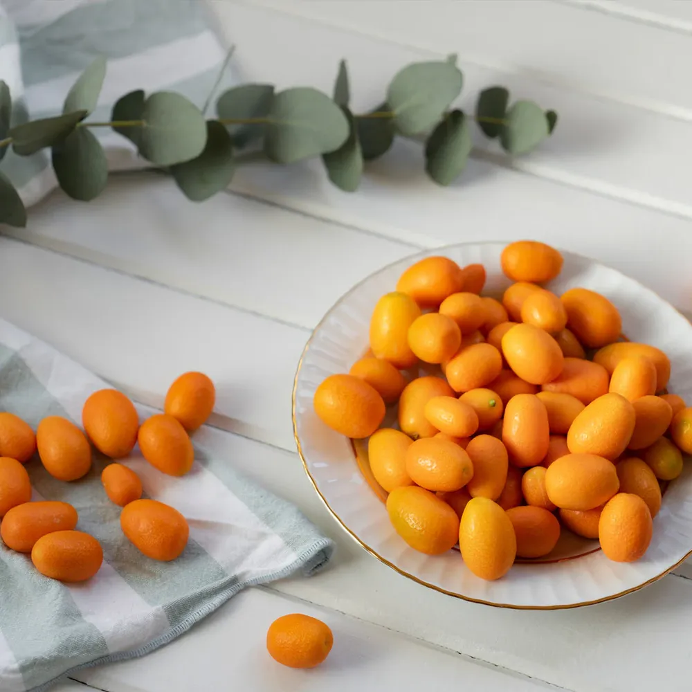 Meiwa Sweet Kumquat Tree - Live Citrus Plant for Edible Fruit Production 2