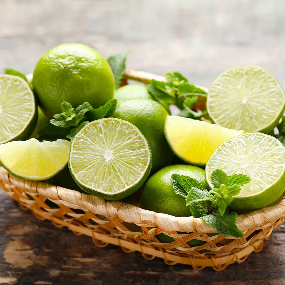Citrus latifolia 'Bearss' Seedless Lime Plant - Potted Fruit Tree for Patio and Garden 2