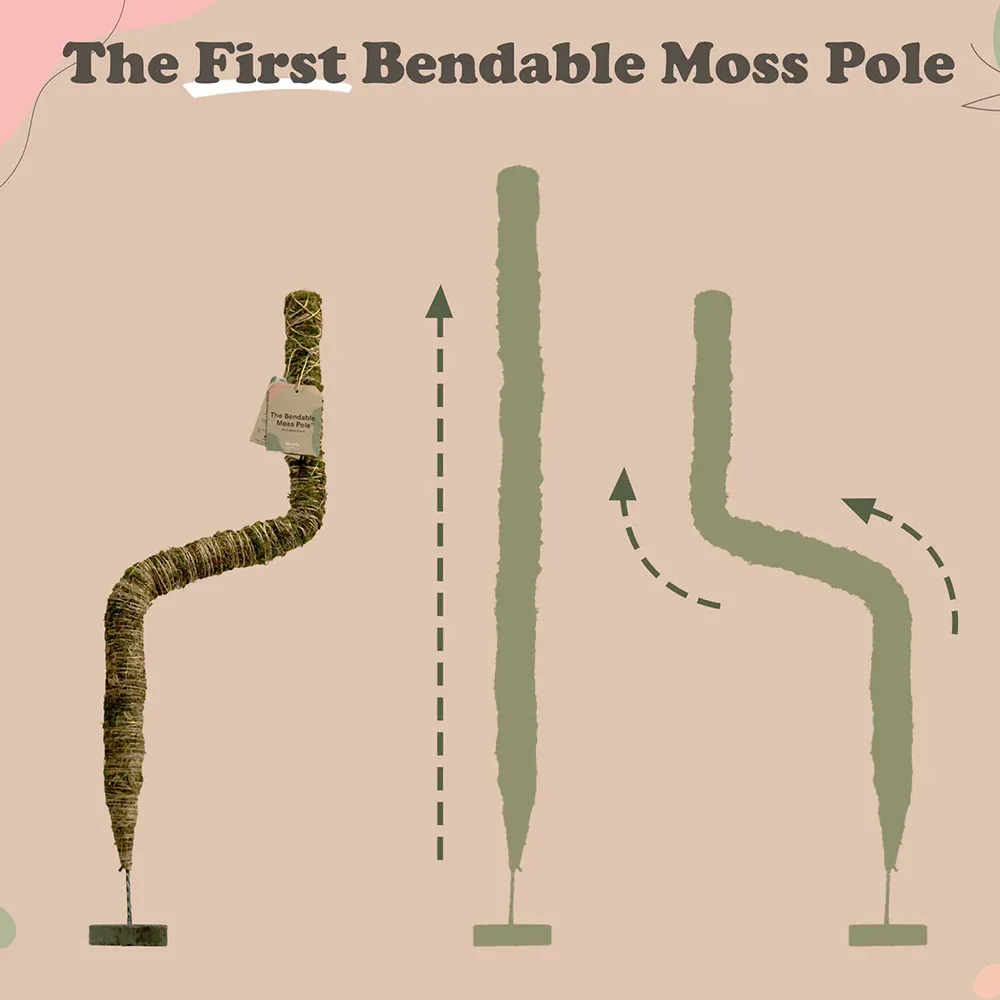 Bendable Moss Pole for Climbing Plants - Flexible Indoor Plant Support Stake 5