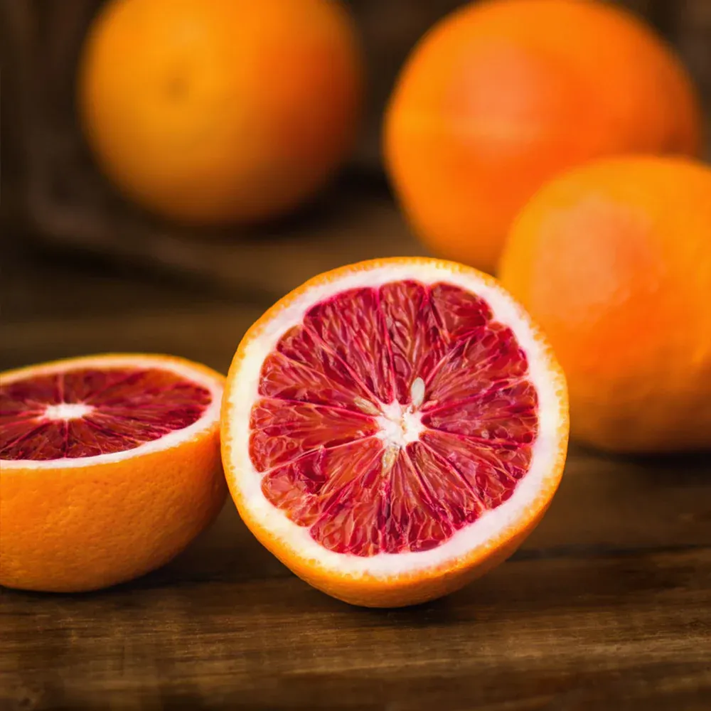 Sanguinelli Semi-Dwarf Blood Orange Tree - Compact Citrus for Home Gardens
