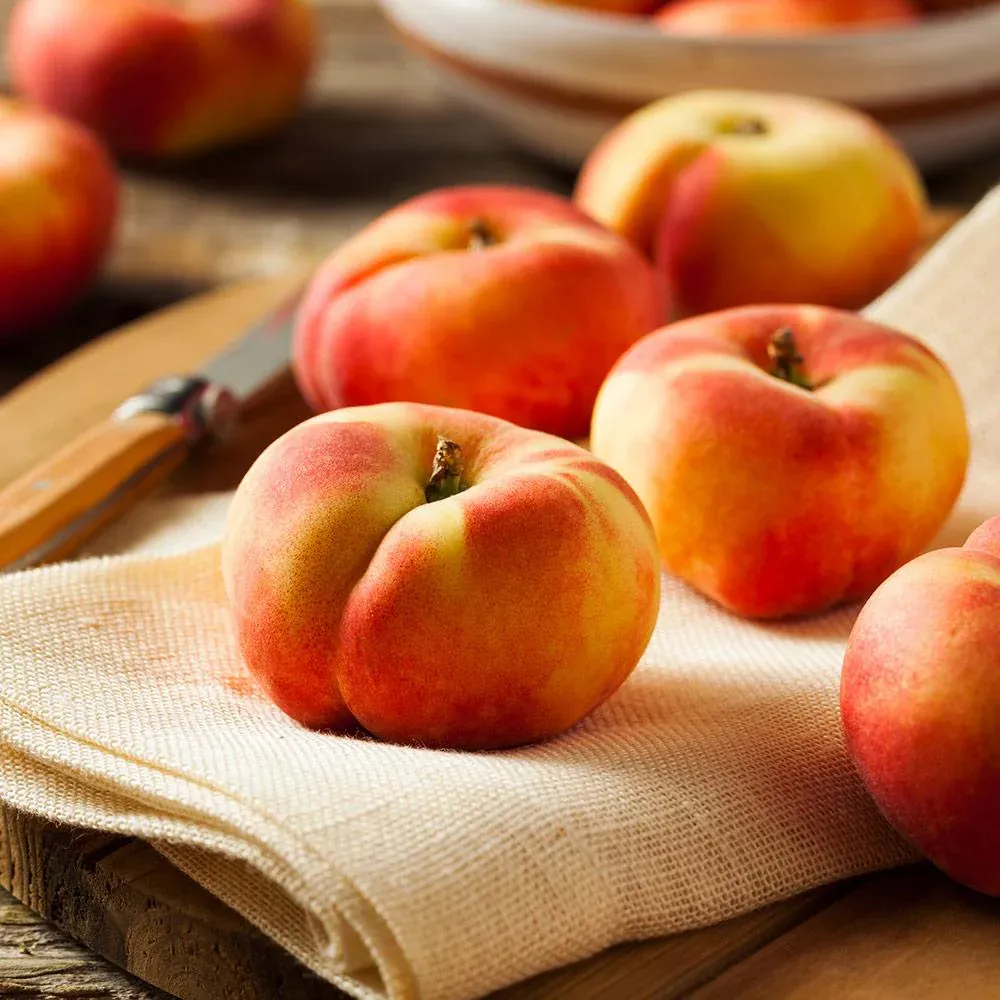 Saturn Peach Tree - Flat Donut Peach Sapling