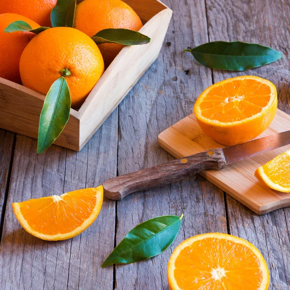Midknight Valencia Orange Tree - Seedless Citrus Fruit Plant 2