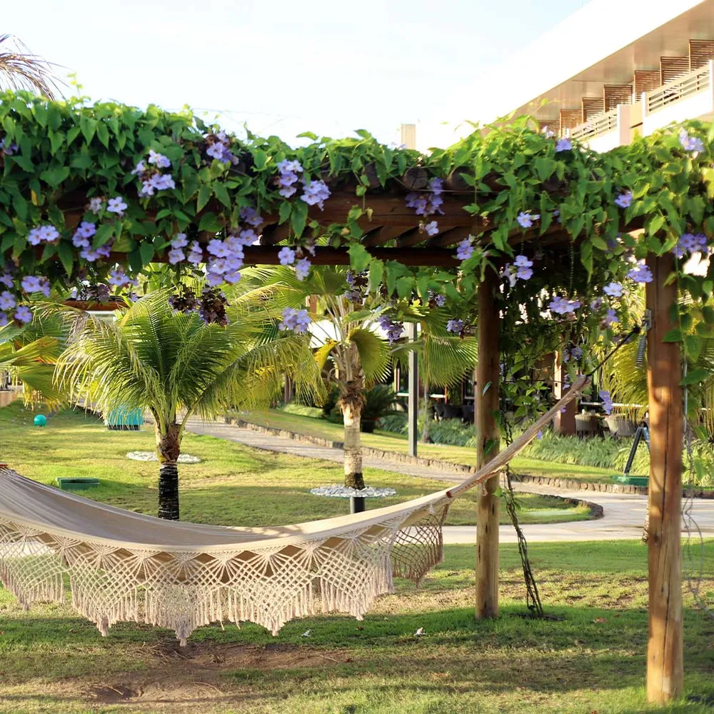Sky Vine Climbing Plant Support Structure for Indoor and Outdoor Use 1