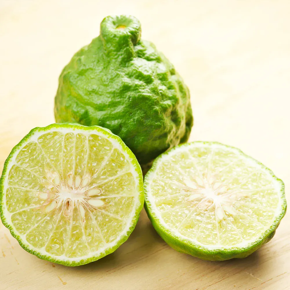 Kieffer Lime Tree (Citrus Hystrix) - Aromatic Culinary Citrus Plant 2