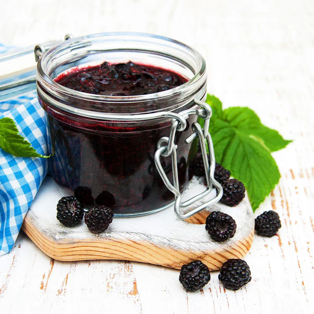 Big Daddy Blackberry Bush - High-Yield Thornless Perennial Fruit Shrub 2