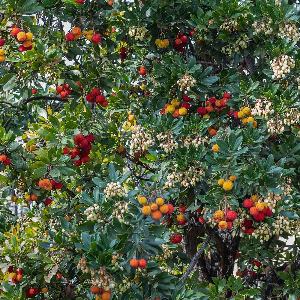Decorative Strawberry Tree Artificial Fruit Plant for Home Interior Decor