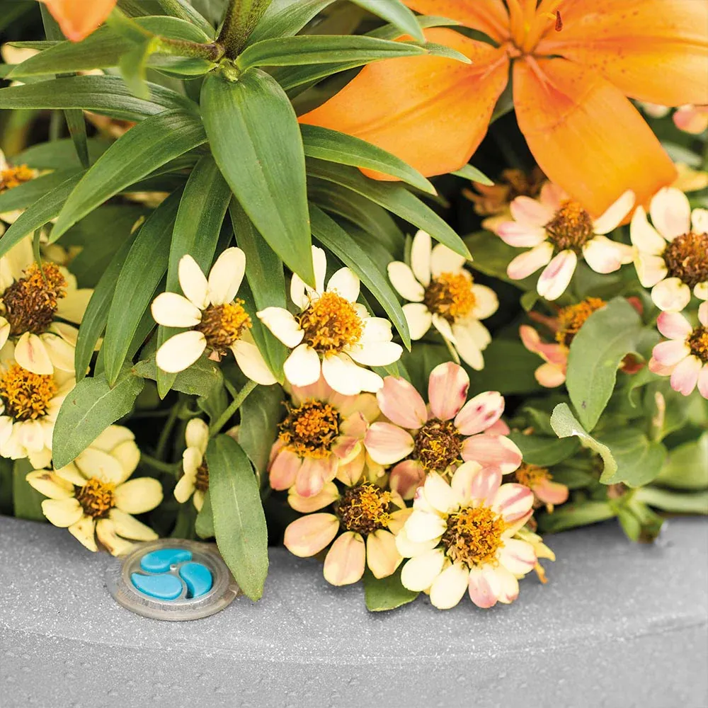Crescent Garden Self-Watering Dot Planter - Durable Resin Container 3