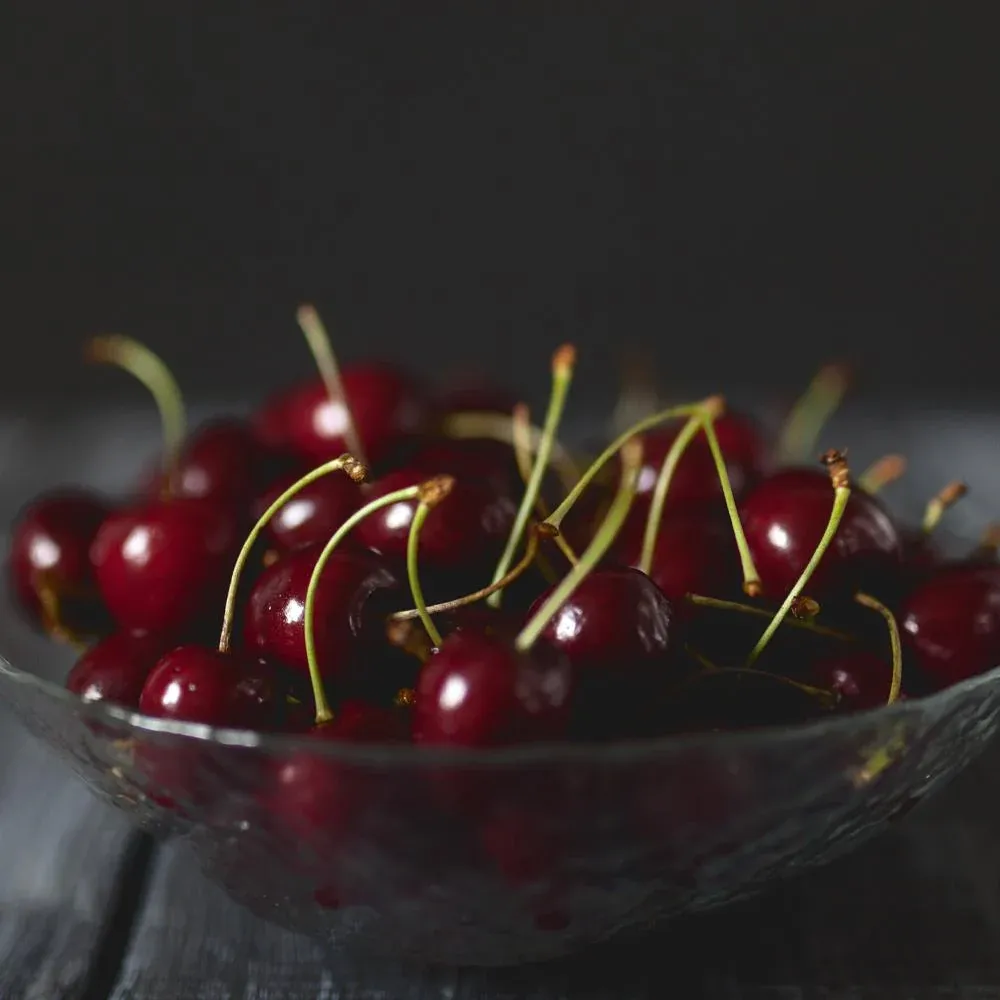 Black Tartarian Cherry Tree - Sweet Fruit-Bearing Deciduous Tree 3
