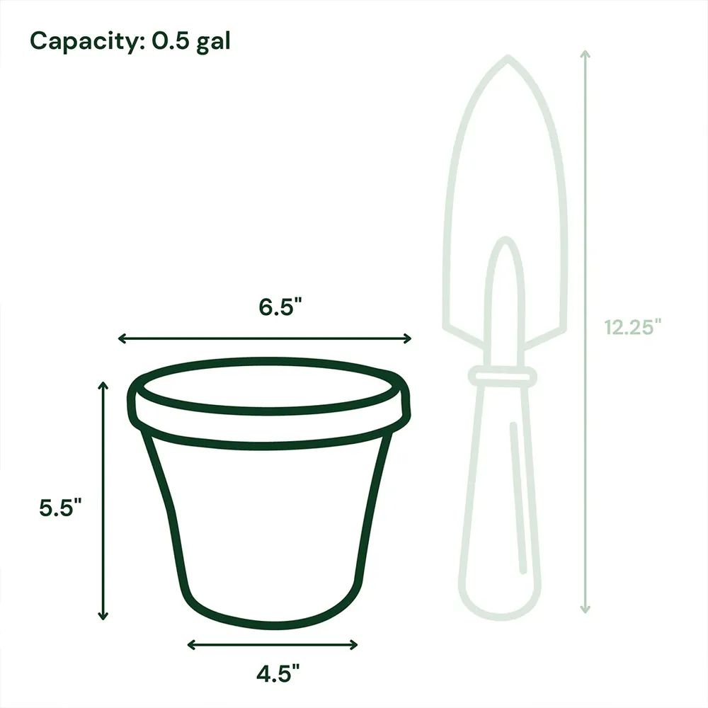 Bloem Terra Planter in Terra Cotta - Durable Indoor and Outdoor Garden Pot 8