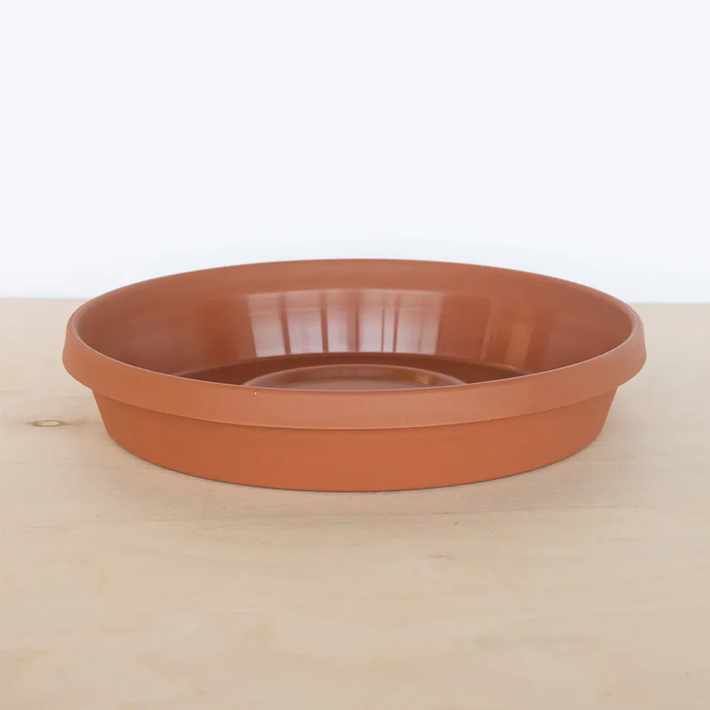 Terra Cotta Plant Saucer - Durable Drainage Tray for Indoor and Outdoor Pots