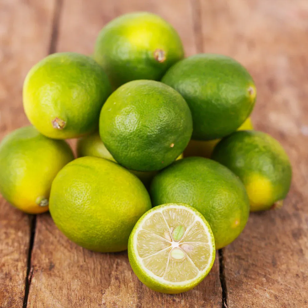 Limequat Citrus Tree - Compact Fruit-Bearing Hybrid Plant 1