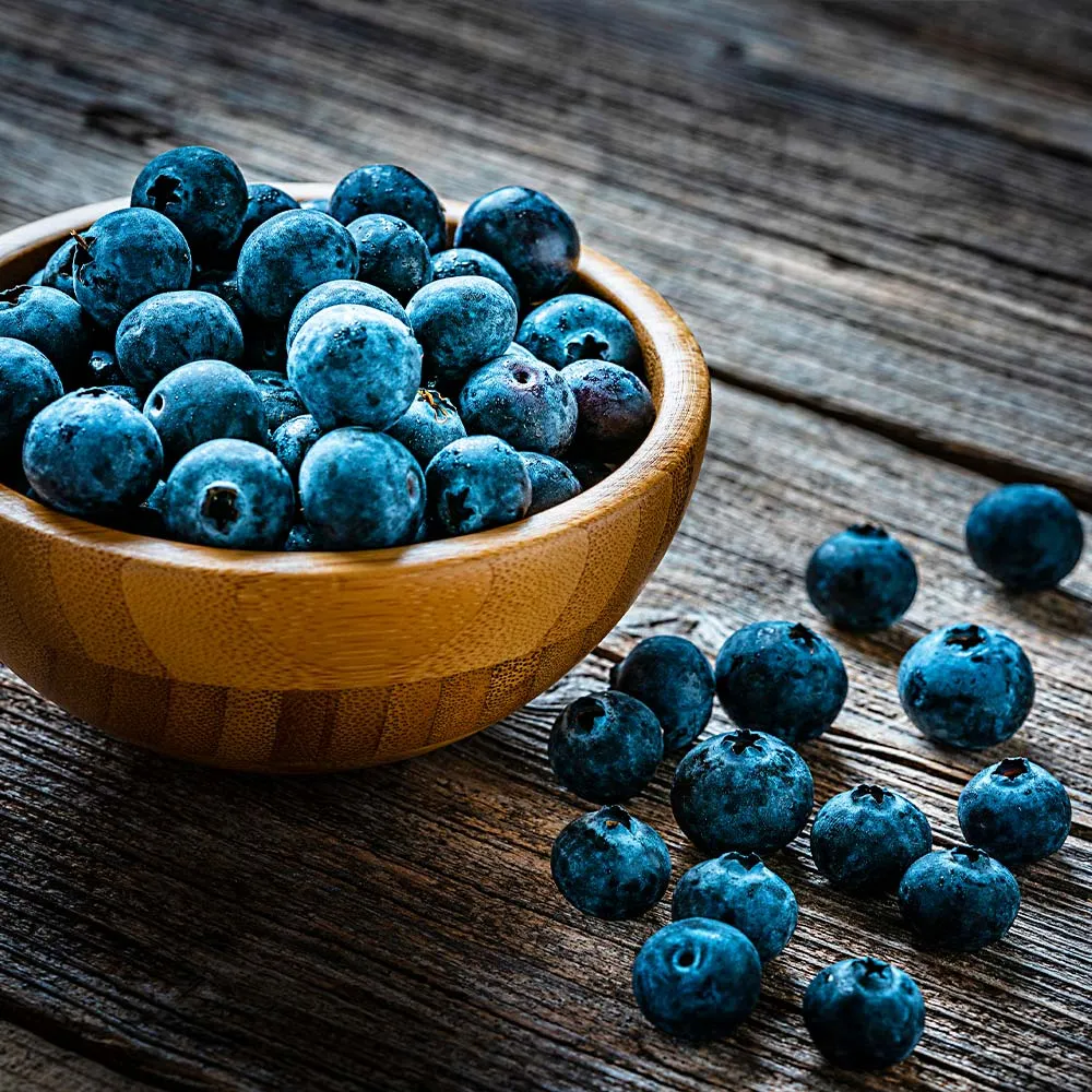 Aurora Blueberry Bush - Northern Highbush Variety 3