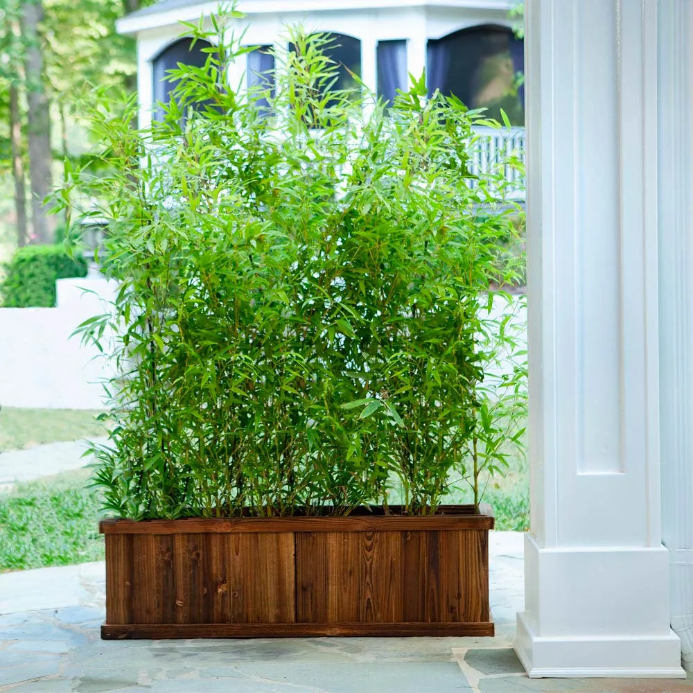 Multiplex Bamboo Panel - Sustainable Engineered Bamboo Board 3