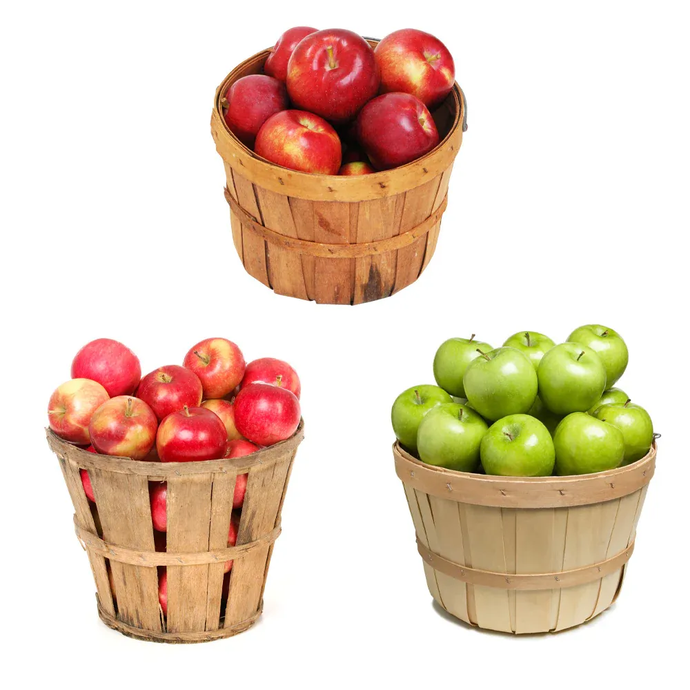 3-in-1 Multi-Variety Grafted Apple Tree for Home Orchards