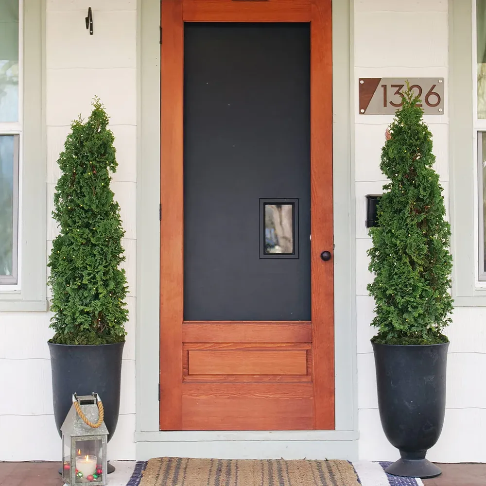 Sting Arborvitae (Thuja occidentalis) Narrow Evergreen Privacy Shrub
