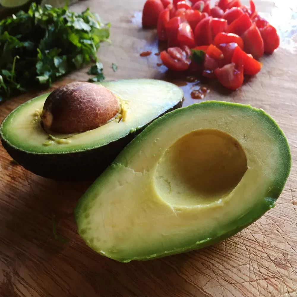 Cold Hardy Avocado Tree - Frost Resistant Evergreen Fruit Tree 5