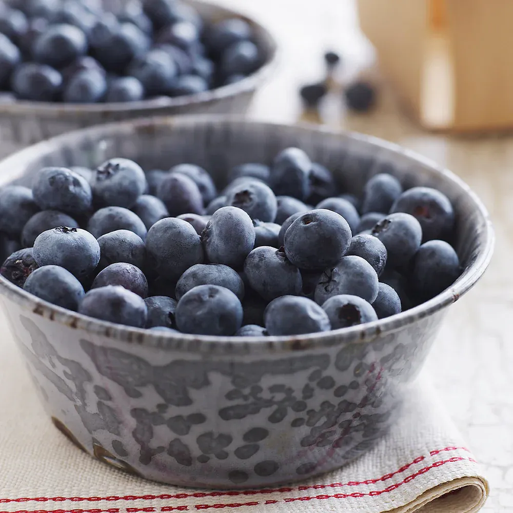 Sweetheart Blueberry Bush - USDA Organic Fruit-Bearing Shrub 2