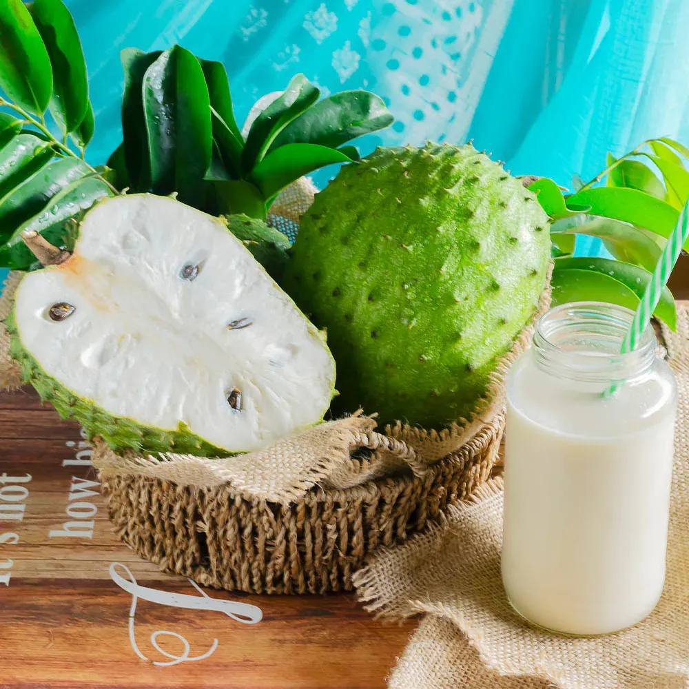 Soursop (Guanabana) Live Fruit Tree - Annona Muricata for Tropical Gardening 3