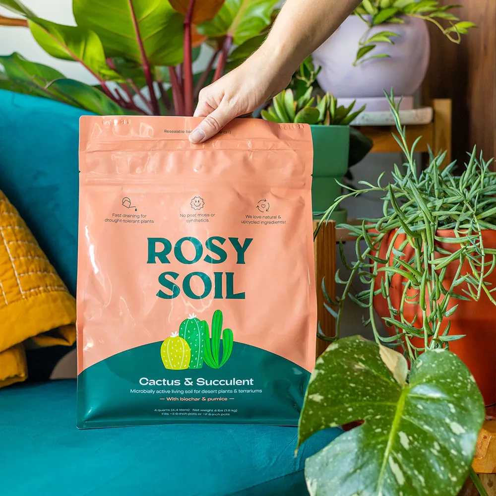 Cactus and Succulent Potting Mix - Fast-Draining Soil Blend for Indoor Plants 2