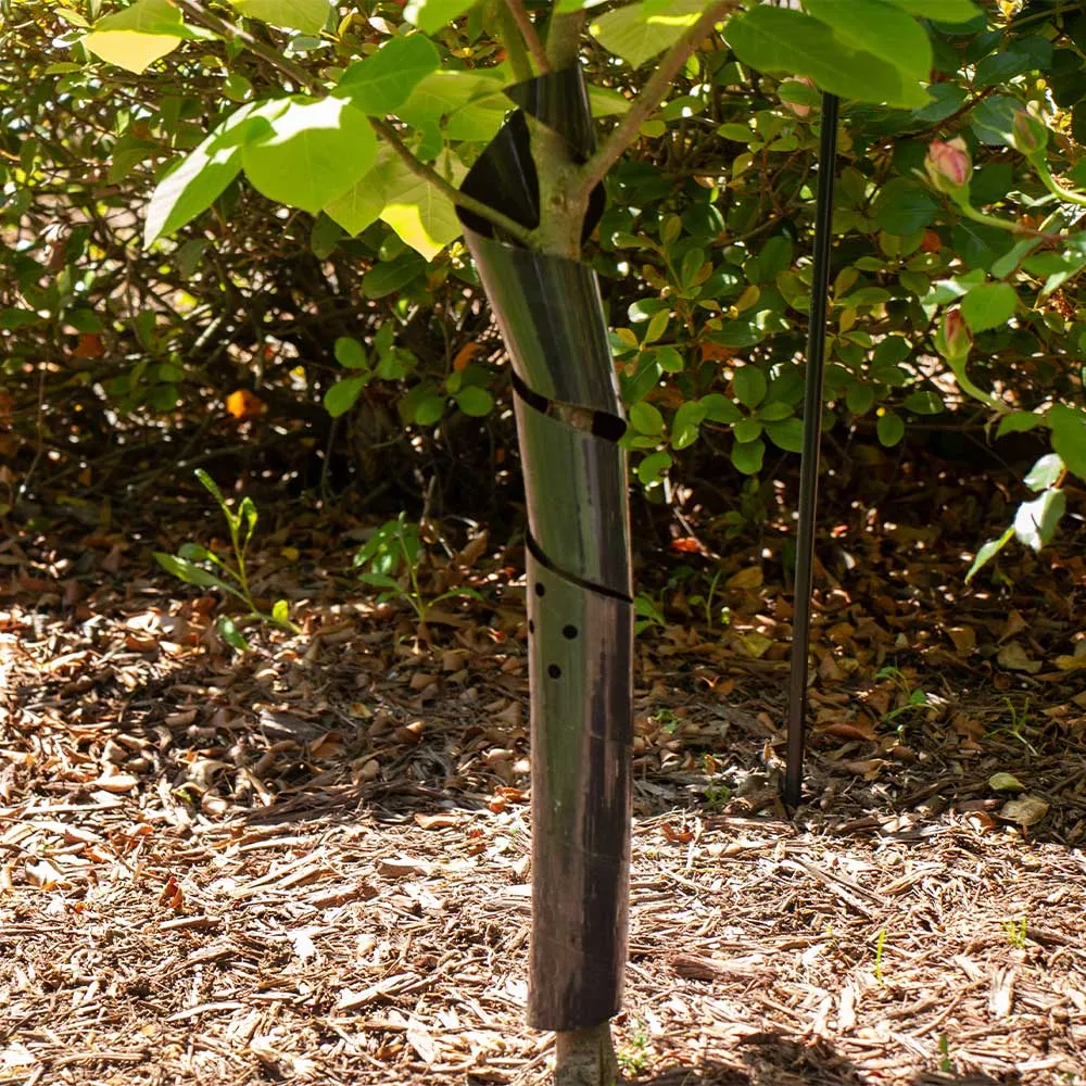 Complete Tree Planting Kit for Home Seed Germination and Growth 1