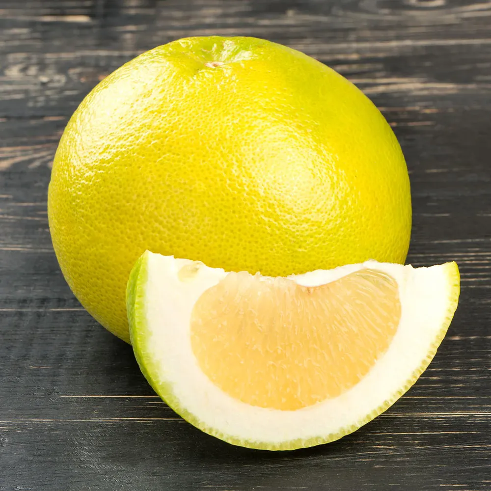 Oroblanco Grapefruit Tree - Sweet Seedless Citrus Hybrid