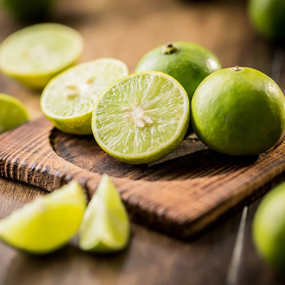 Key Lime Tree (Citrus aurantiifolia) Live Citrus Plant 2