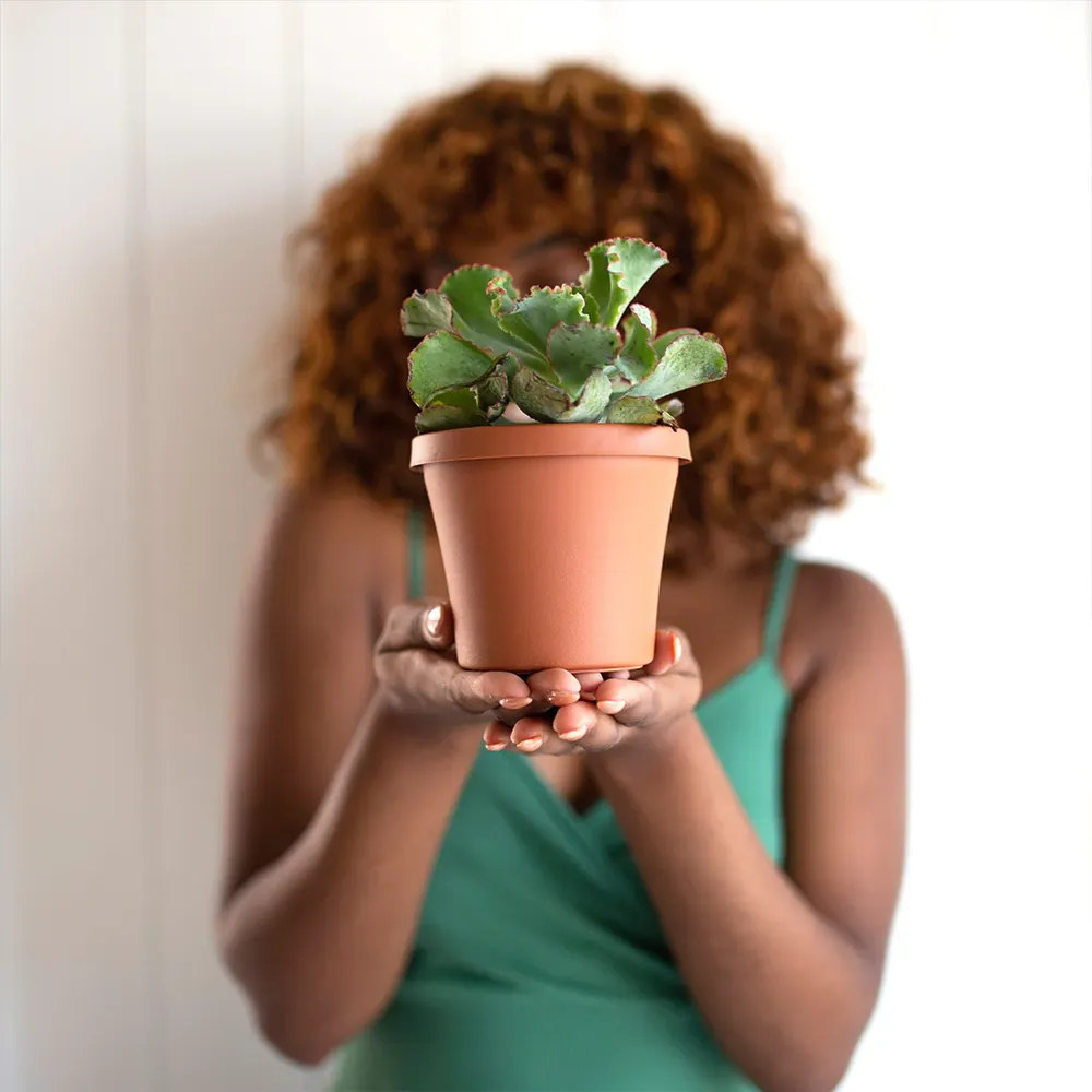Bloem Terra Planter in Terra Cotta - Durable Indoor and Outdoor Garden Pot 5