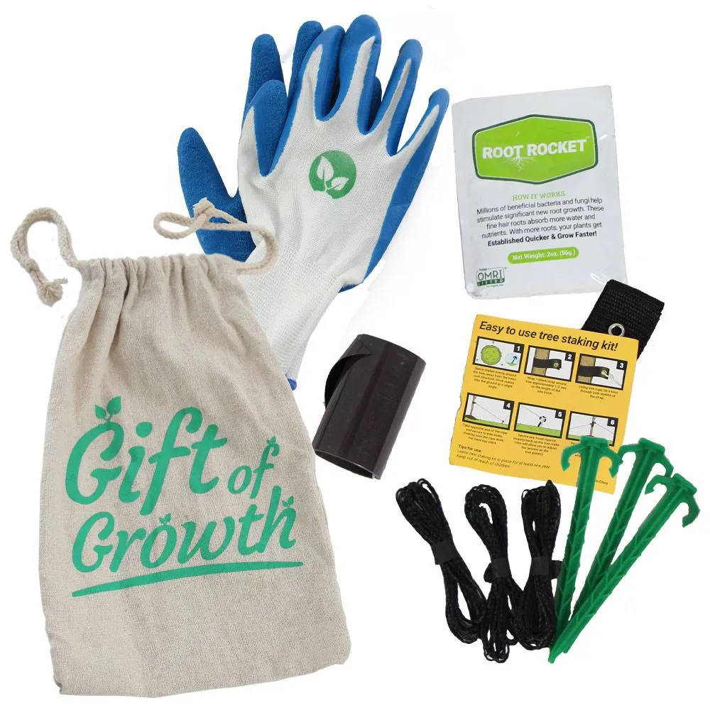 Complete Tree Planting Kit for Home Seed Germination and Growth
