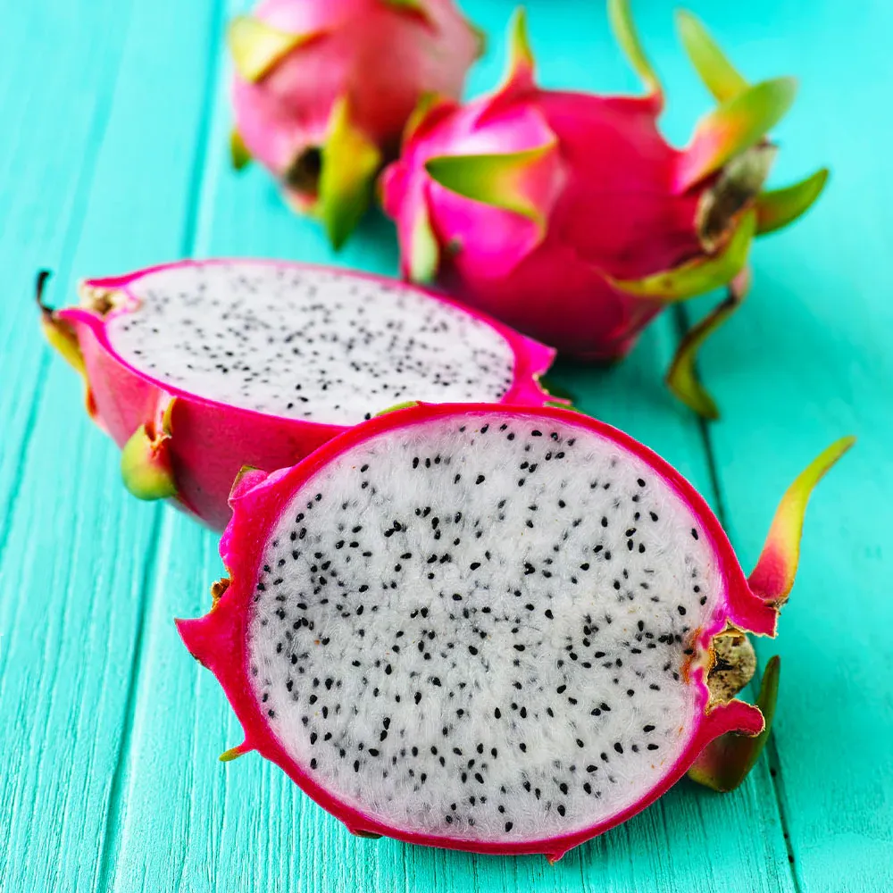 USDA Organic Dragon Fruit Cactus Plant - Hylocereus Undatus Live Starter 3