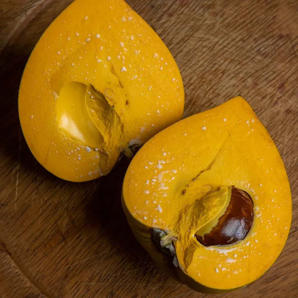 Canistel Eggfruit Tree (Pouteria campechiana) Live Tropical Fruit Plant 2