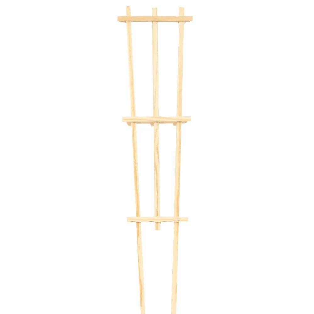 Pressure-Treated Wood Training Trellis for Climbing Plants