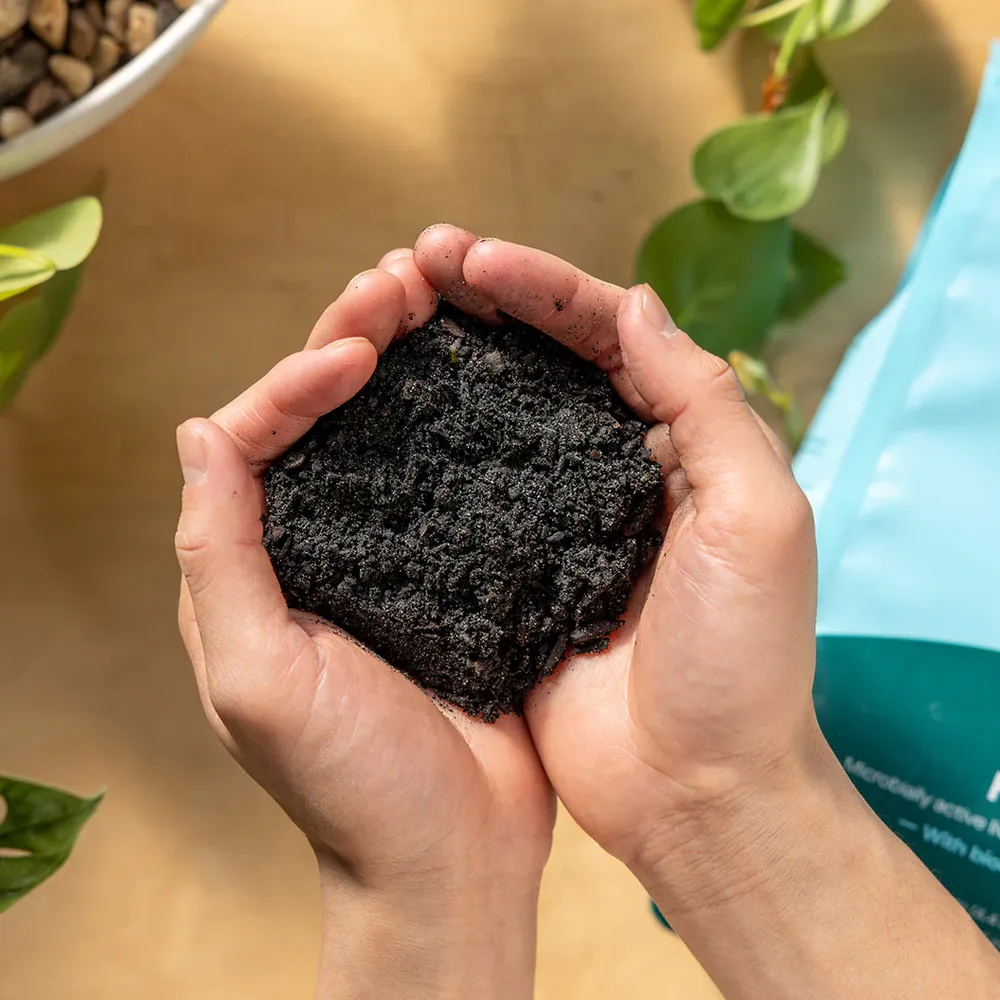 Rosy Soil Houseplant Mix - Professional Indoor Potting Substrate 7