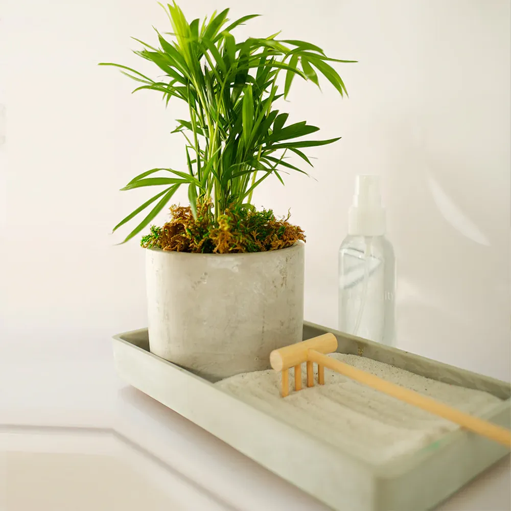 Desktop Zen Garden Kit with Miniature Sand Tray and Meditation Tools