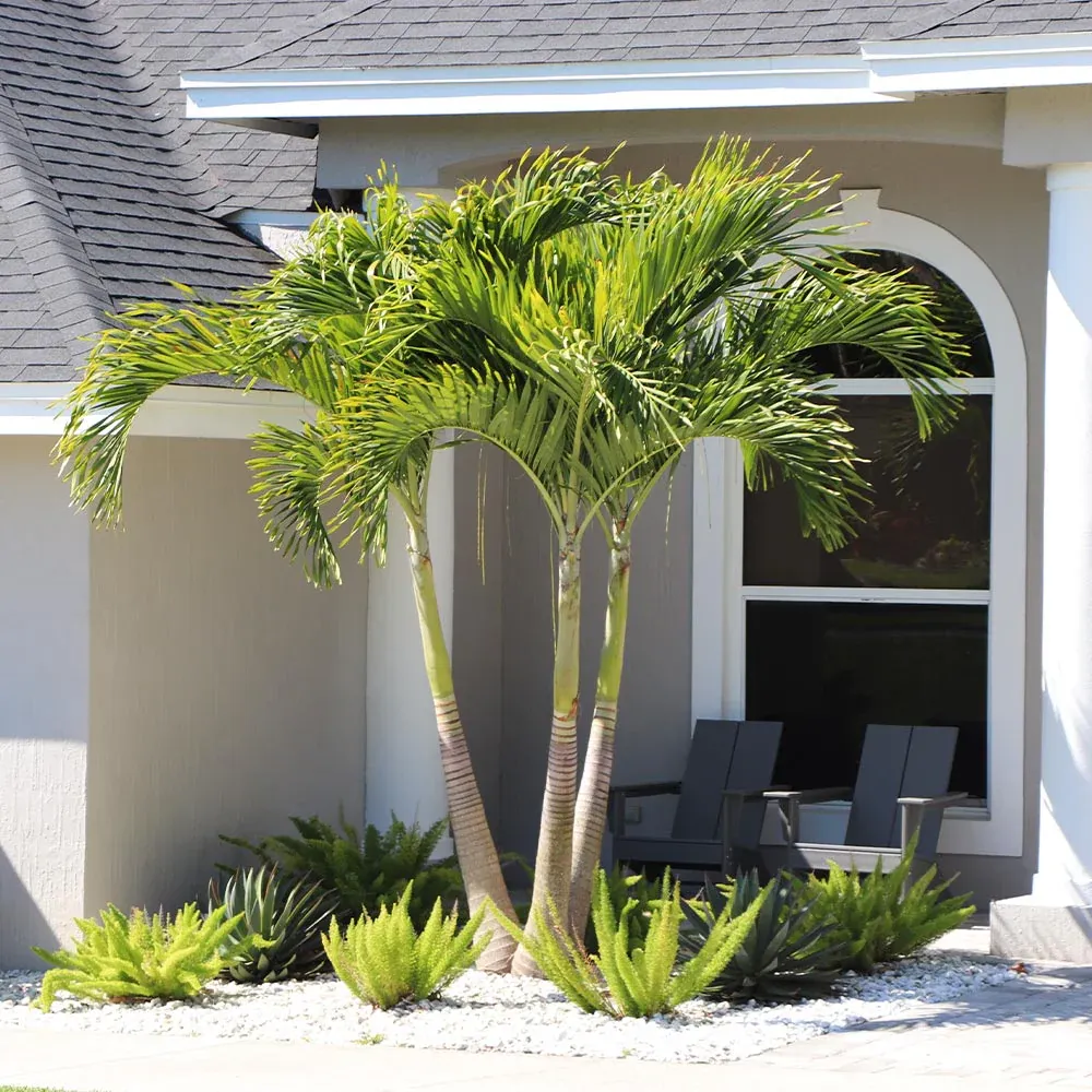 Artificial Christmas Palm Tree - Tropical Adonidia Palm for Home and Garden Decor