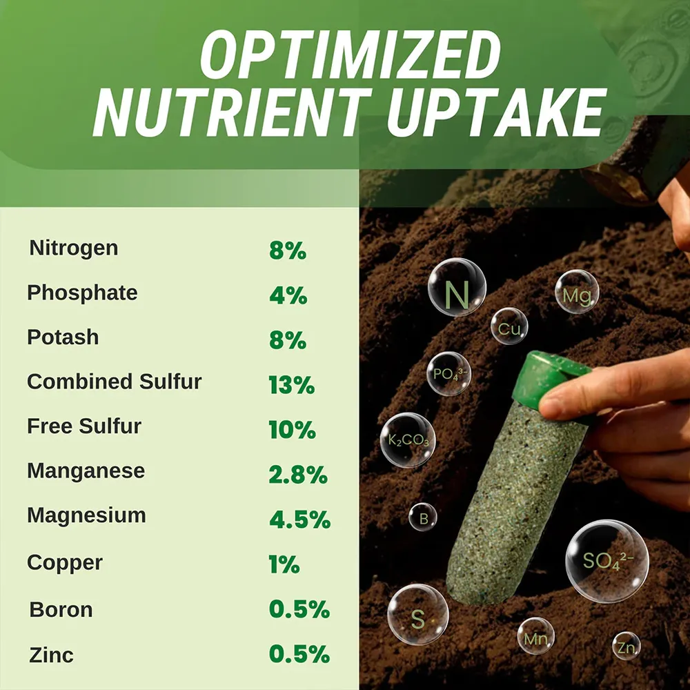 Lutz Ultra Citrus Fertilizer Spikes - Slow-Release Root Zone Plant Food 4
