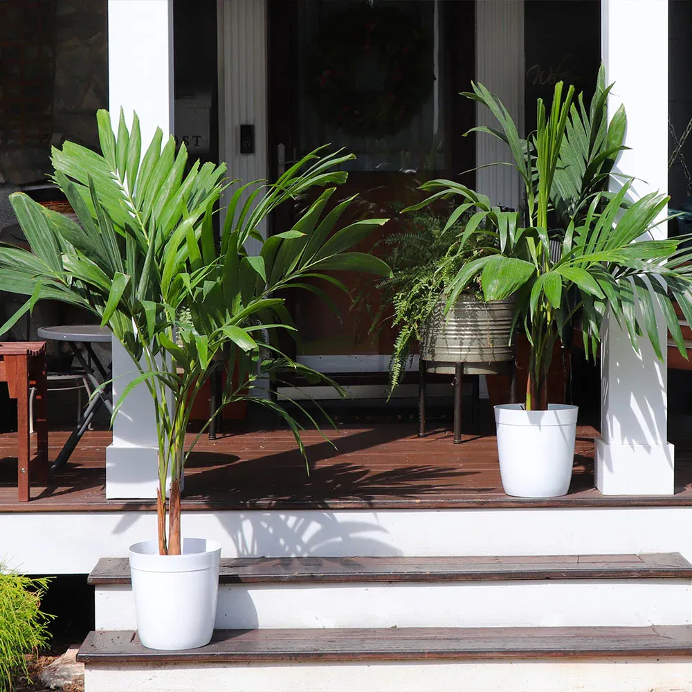 Artificial Christmas Palm Tree - Tropical Adonidia Palm for Home and Garden Decor 2